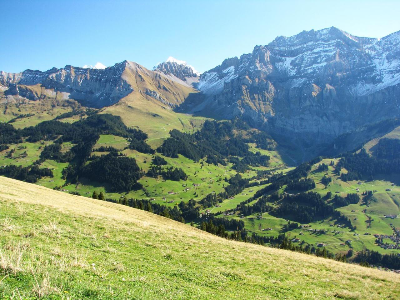 Appartment Andrea Adelboden Eksteriør bilde