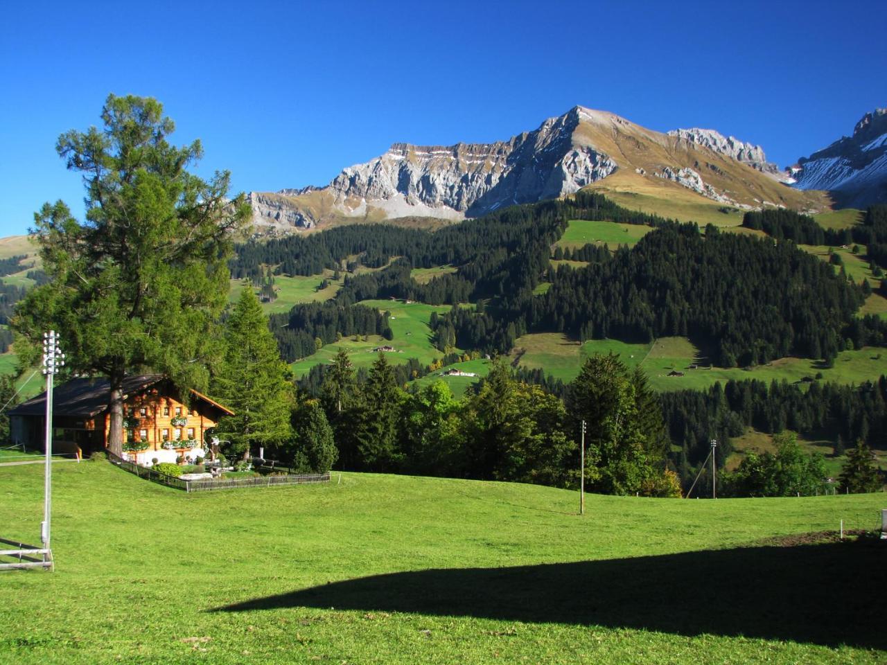 Appartment Andrea Adelboden Eksteriør bilde