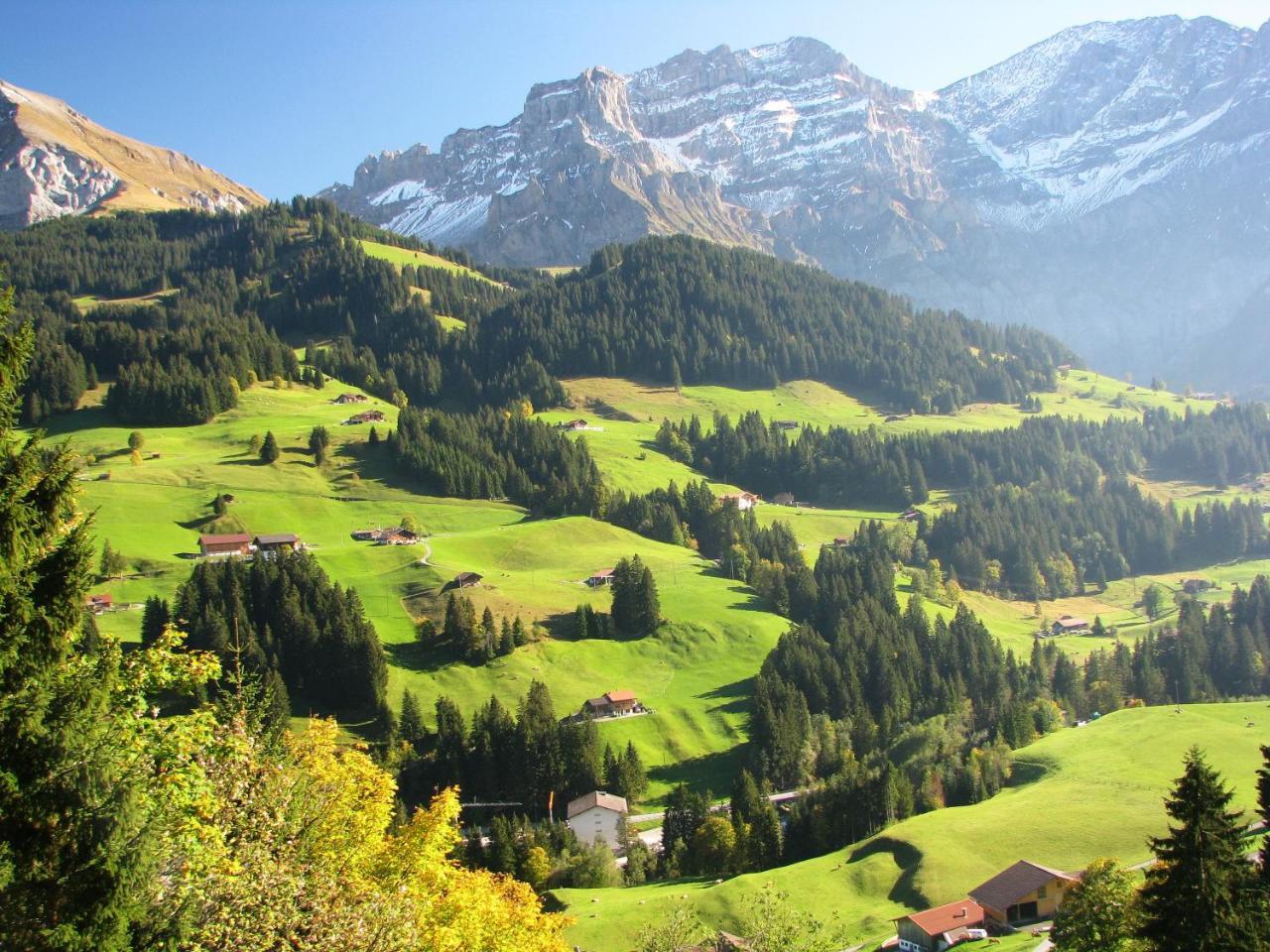 Appartment Andrea Adelboden Eksteriør bilde